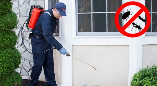 Ovacık Böcek İlaçlama böcek ilaçlama ve haşere kontrolü — ilaclama-tr.com